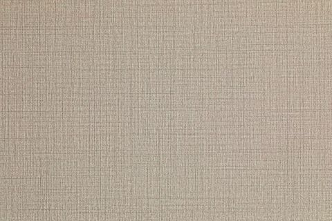 DELORA — 77-6